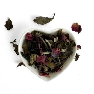 White tea rose blossoms 1