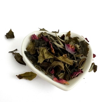 White tea rose blossoms 2